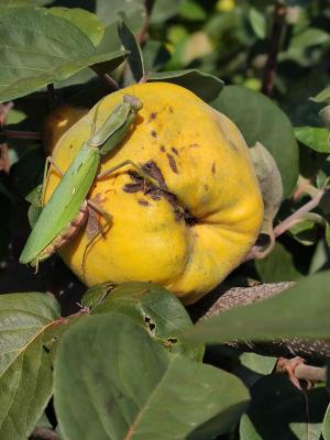 Прикрепленное изображение: изображение_viber_2021-10-18_16-07-53-821.jpg